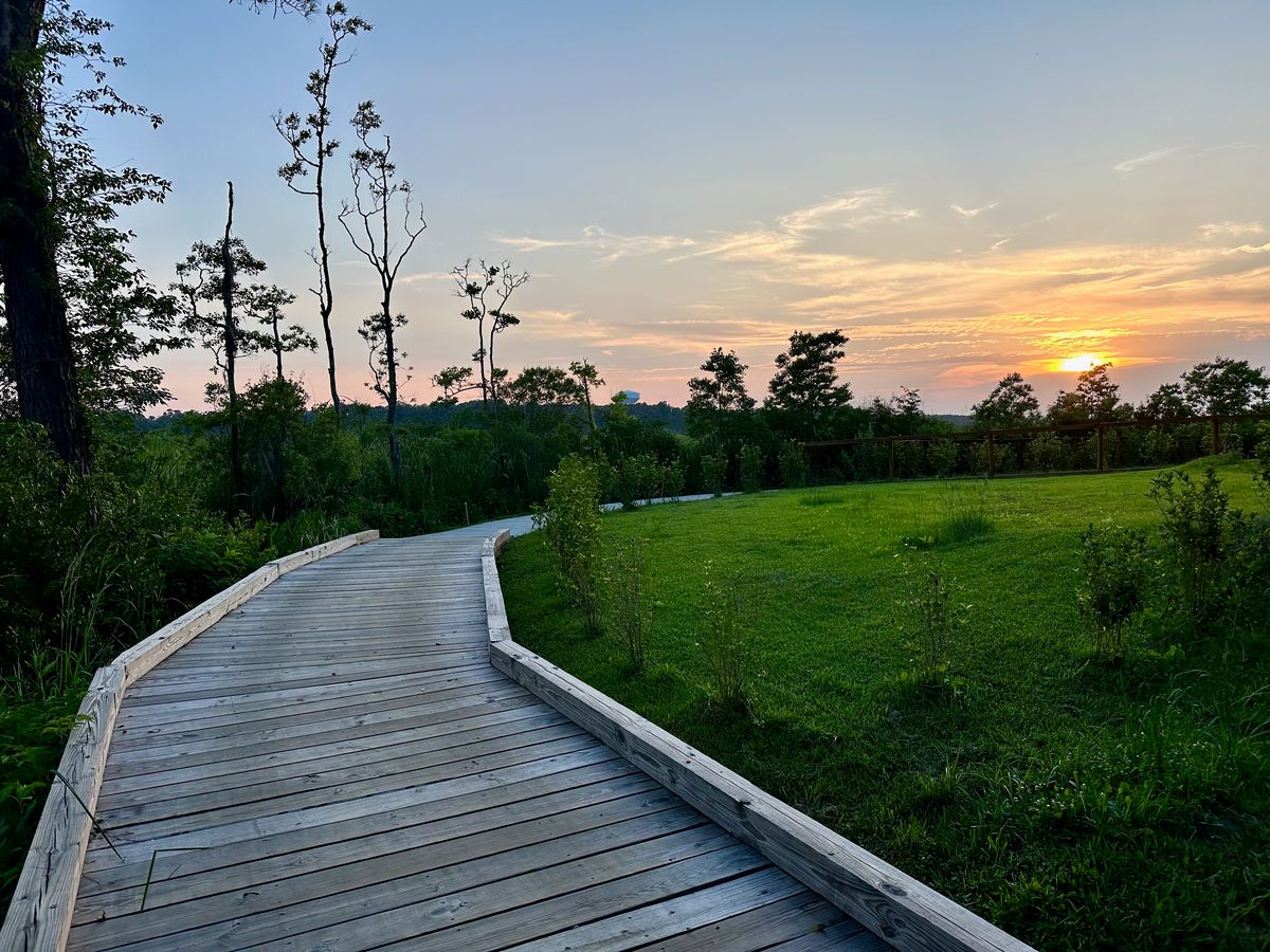 A boardwalk through the marsh in Hanahan at sunset