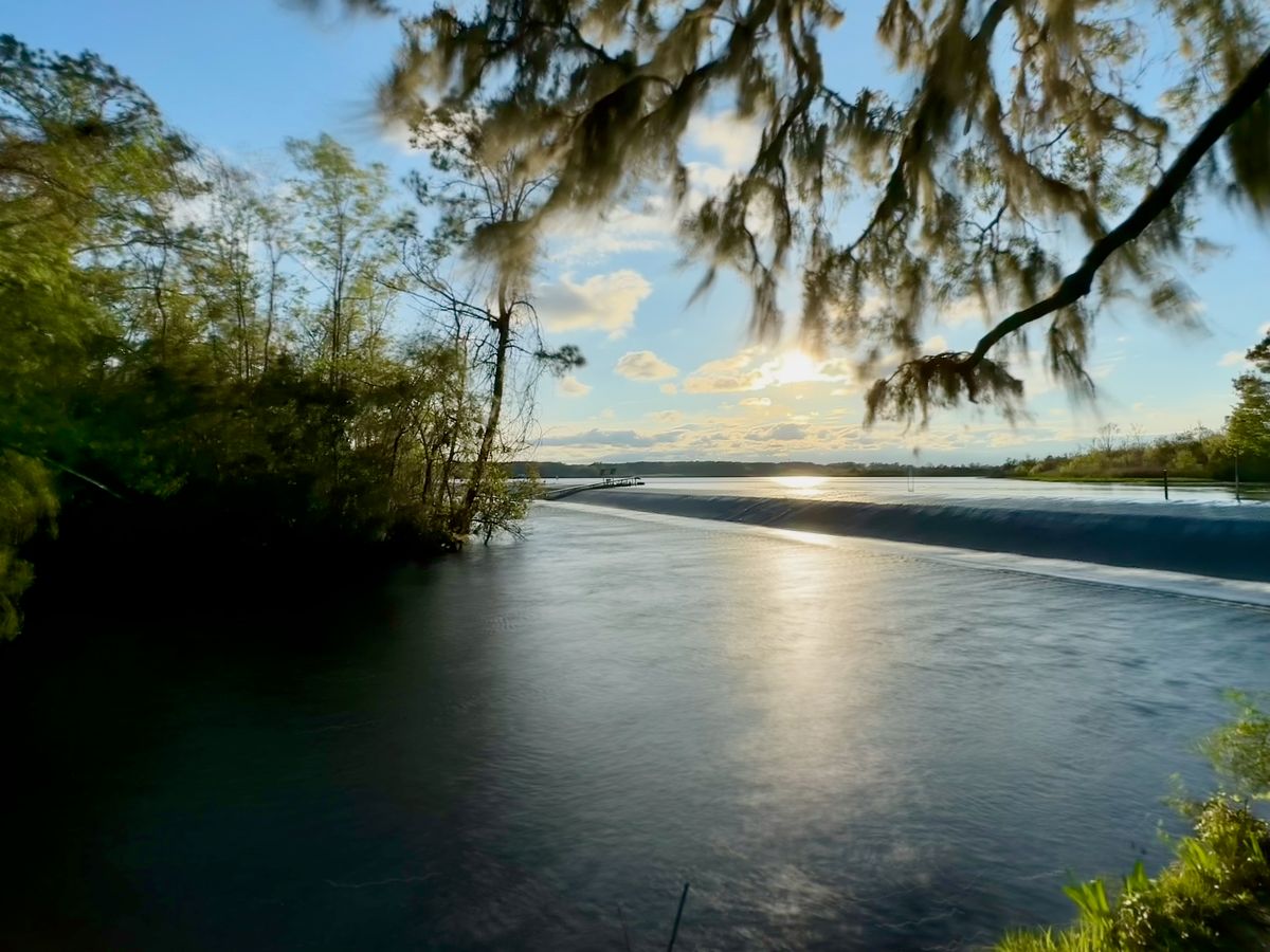 Goose Creek at the reservoir in Hanahan, under Spanish moss